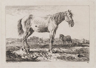 KG 07713
<br/>
Twee paarden in de wei
<br/>
<em>Varelen, Jacob Elias van (1757-1840)</em>